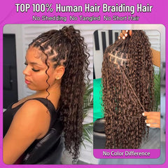 Acbhoa virgin human braiding hair, soft texture for seamless blending.