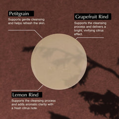 Lemon rind and petitgrain close-up in Aesop Citrus Melange brightening cleanse.