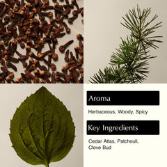 Aesop Eleos cleanser creating a creamy lather for daily use