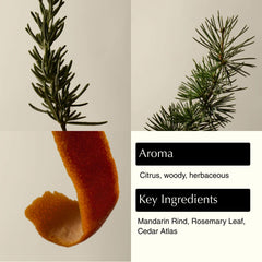 Aesop Resurrection mandarin rind ingredient close-up highlights bright essential oils for uplifting scent.