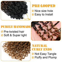Aksice Curly Senegalese Micro Twist 8-inch adds depth and dimension