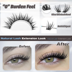 ALICE Lash Clusters buildable volume for subtle to fuller look