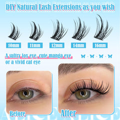 ALICE lash clusters cat eye look enhancing outer corners and definition.