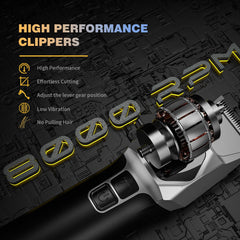 AngFan ANGFAN five-speed control supports versatile styling across hair types.