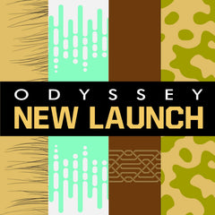 Odyssey Aqua EDP base notes of patchouli, ambroxan, and Cypress provide earthy depth.