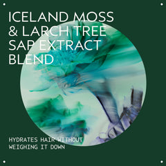 Sap Moss bottle label close-up emphasizing natural ingredients.