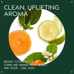 Aveda Scalp Solutions conditioner being applied for lightweight hydration