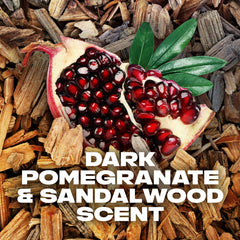 AXE Anarchy dark pomegranate and sandalwood fragrance for a bold scent