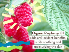 Babo Botanicals fragrance-free label highlights sensitivity friendly sunscreen for all ages.