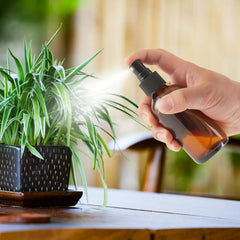 Bastelica amber bottle delivers a fine mist for facial care.