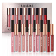 BestLand matte liquid lipstick swatches on skin for color choice