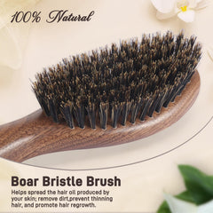 BESTOOL boar bristle detail promotes even oil distribution for smooth hair