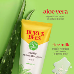 Burts Bees empaque dormitorio estudiante facilita cuidado rápido