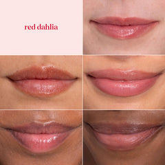 Burt's Bees Lip Tint Balm Rose tube close-up reveals semi-gloss finish