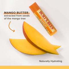 Two Burt's Bees Mango Lip Balm tubes in a convenient travel-pack.