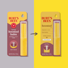 Burt's Bees Misty Mauve: aplicador delicado para aplicación precisa