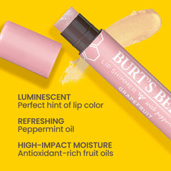 Burt's Bees Lip Tint application close-up showing buildable shine.