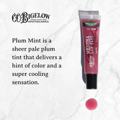 C.O. Bigelow Plum Mentha Lip Tint tubes close-up highlighting glossy plum tint.