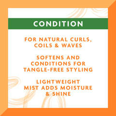 Cantu Coil Calm Detangler application demonstrates knot-free detangling during styling.