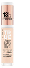 Catrice True Skin High Cover Concealer 001 Neutral Swan swatches reveal natural coverage