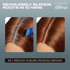 Clairol applying to roots close-up shows precise coverage