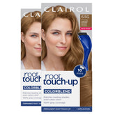 Clairol Root Touch-Up kit with bottle and brush for quick at-home refresh.