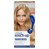 Clairol Root Touch-Up kit with brush and bowl for easy at-home use.