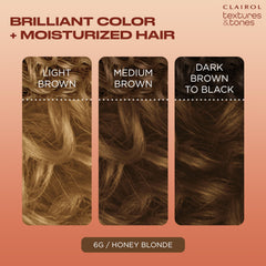 Clairol Textures and Tones Honey Blonde shade swatch showcases shimmering gold-inspired color
