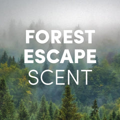 Forest Escape de Clean Revolution regala fragancia natural tras cada lavado.