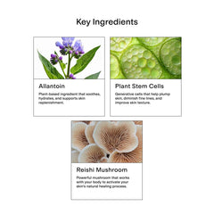CLEARSTEM CellRenew with hyaluronic acid emphasizes deep hydration.