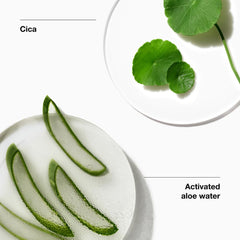 Aloe leaf visual accompanying Clinique Moisture Surge Intense hydration.