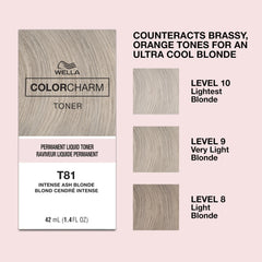 COLORCHARM at-home application steps image demonstrates quick, simple toner use.
