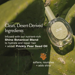 DAE Prickly Pear Seed Oil ingredient close-up highlights nourishing ingredients.