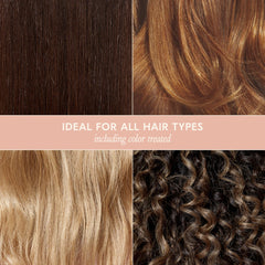 DAE Signature Conditioner ingredient moringa highlights moisture and keratin support