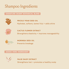 DAE Signature Shampoo lather close-up emphasizes rich foam during wash.