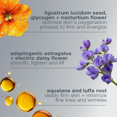 Dermalogica Phyto Nature Oxygen Cream applied on the face demonstrates quick absorption.