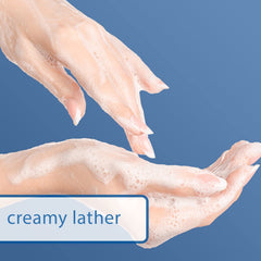 Dial Gold antibacterial soap with classic gold label design on the bar.