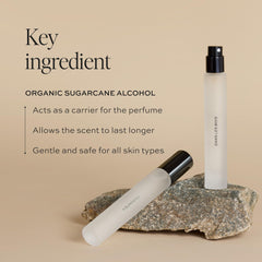 DIME Dans Les Bois multi-layer scent for refined daytime or evening wear