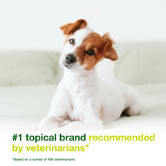 Dogs and cats benefit from DOUXO S3 SEB Mousse for dandruff relief