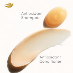 Acondicionador Dove, cabello húmedo, sella cutículas y da brillo duradero.