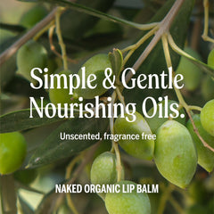 Dr. Bronner's Balsamo Labial Orgánico: ingredientes naturales para labios suaves.