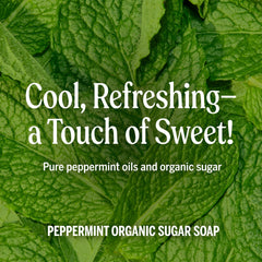 Dr. Bronner's Peppermint Sugar Soap for face and body cleansing