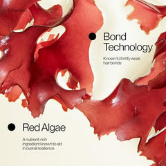 Eva NYC Ritual Repair Shampoo label features bond technology and scent notes.