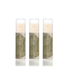 evanhealy whipped shea butter lips 3-pack nourishes lips with red raspberry seed oil