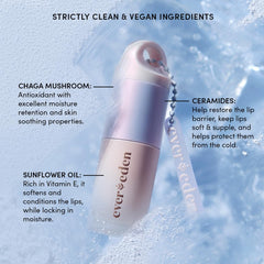 Ingredientes limpios y veganos de Evereden con chaga y ceramidas