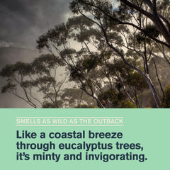 Every Man Jack mint eucalyptus shower scene evoking a wake-up routine.