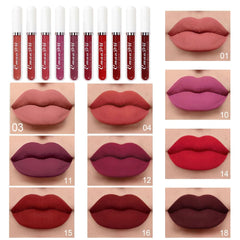 evpct-labiales mate colores populares para looks versátiles