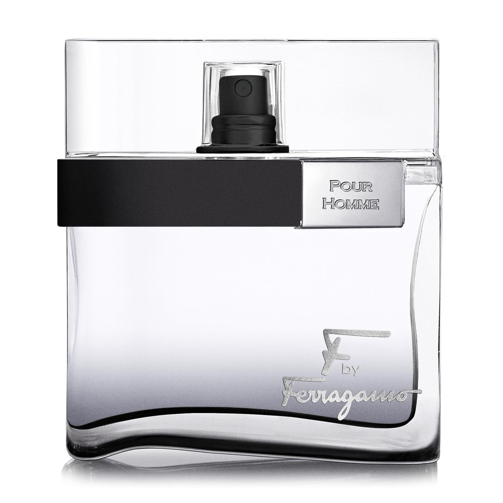 Ferragamo Black for Men bottle shot—bold, magnetic fragrance for evening elegance