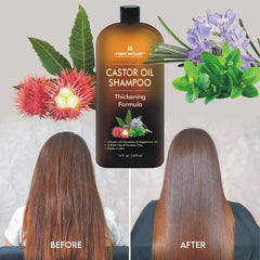 First Botany Shampoo con extractos botánicos romero, menta y manzanilla para frescura.