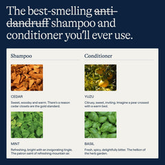 Close-up of Flakes conditioner emphasizing MCT oil for moisture.